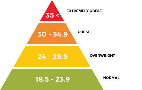 BMI Pyramid Obese
